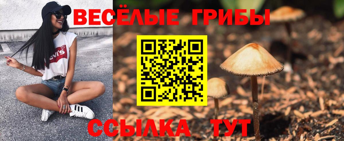 Аша  Псилоцибиновые грибы мицелий  Вход с VPN 
